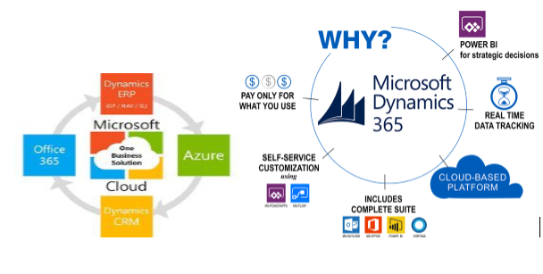 Microsoft Dynamics NAV, AX & LS Retails Solutions & Services of Your Business